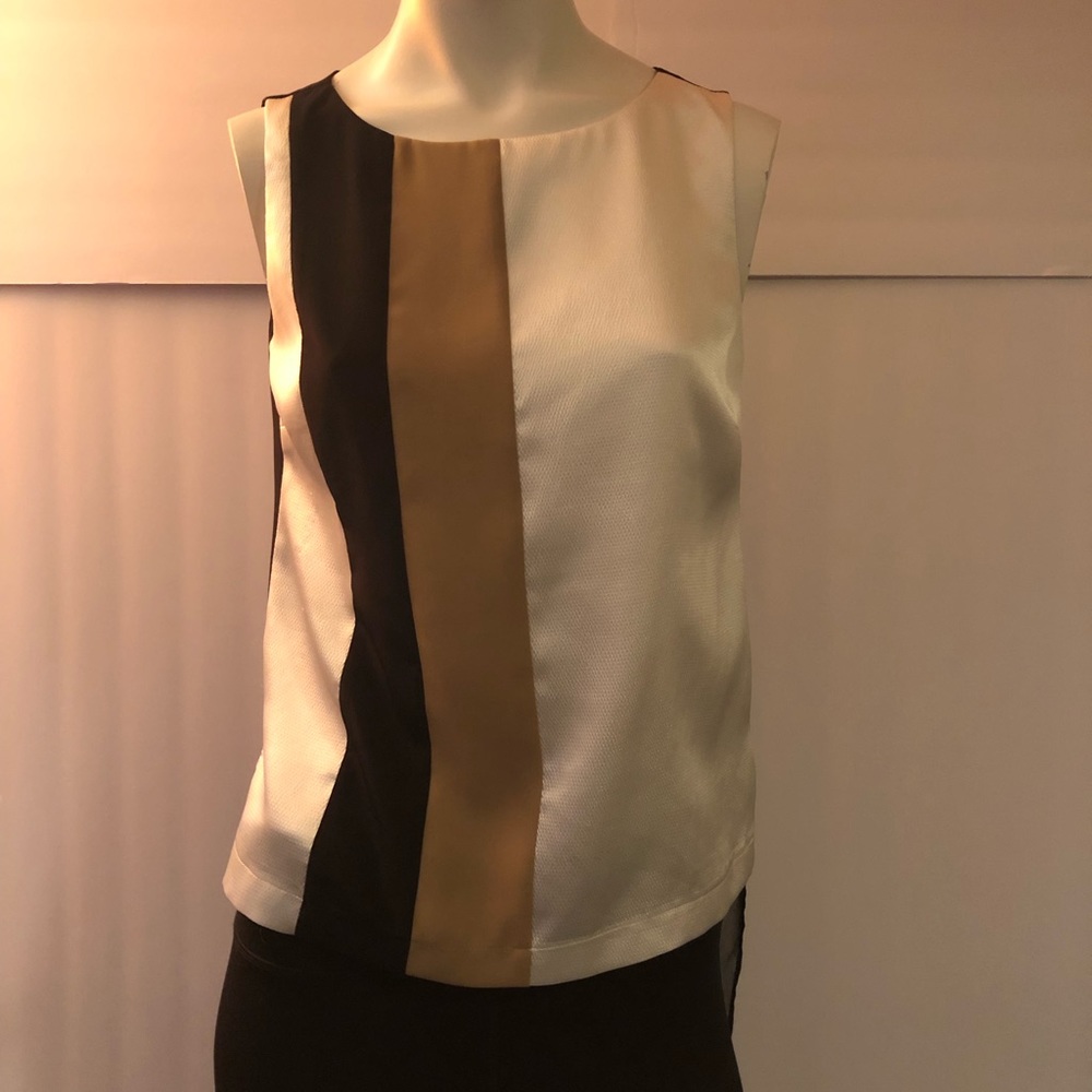 White house Black market sleeveless sheer back
